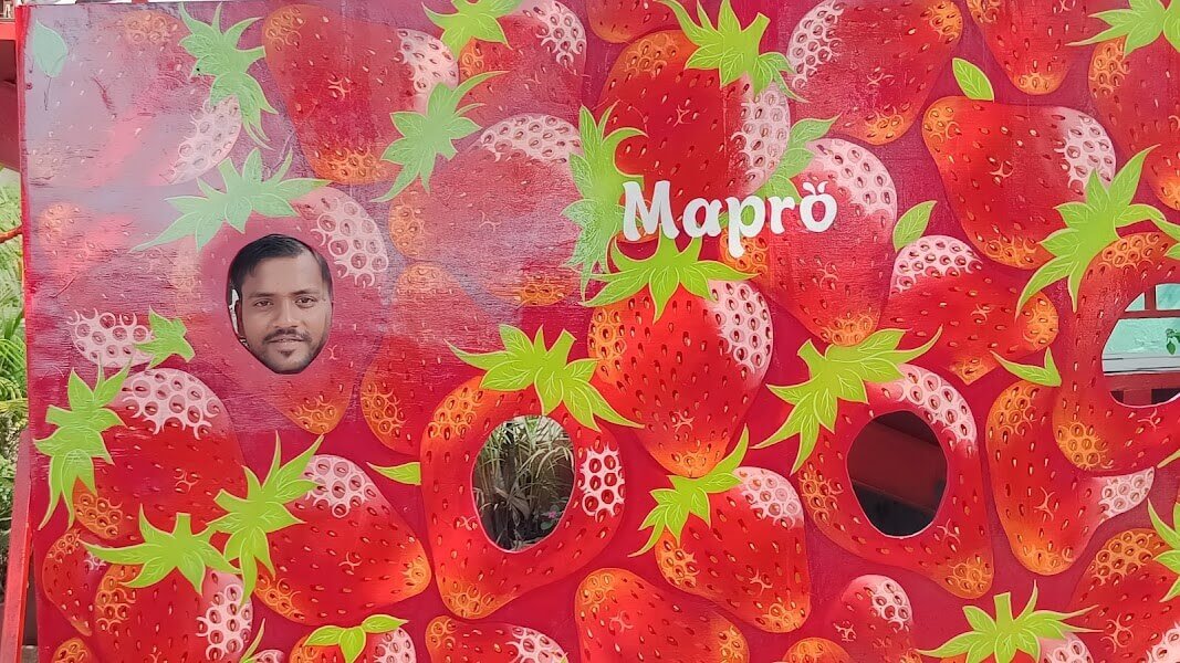 Mapro Garden Mapro
