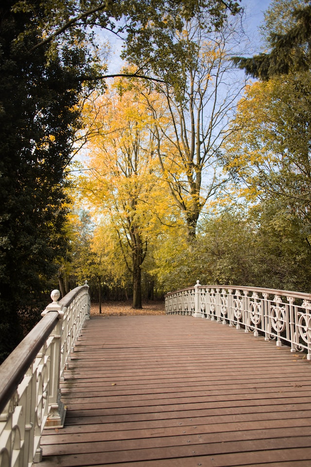 Vondelpark Vondelpark