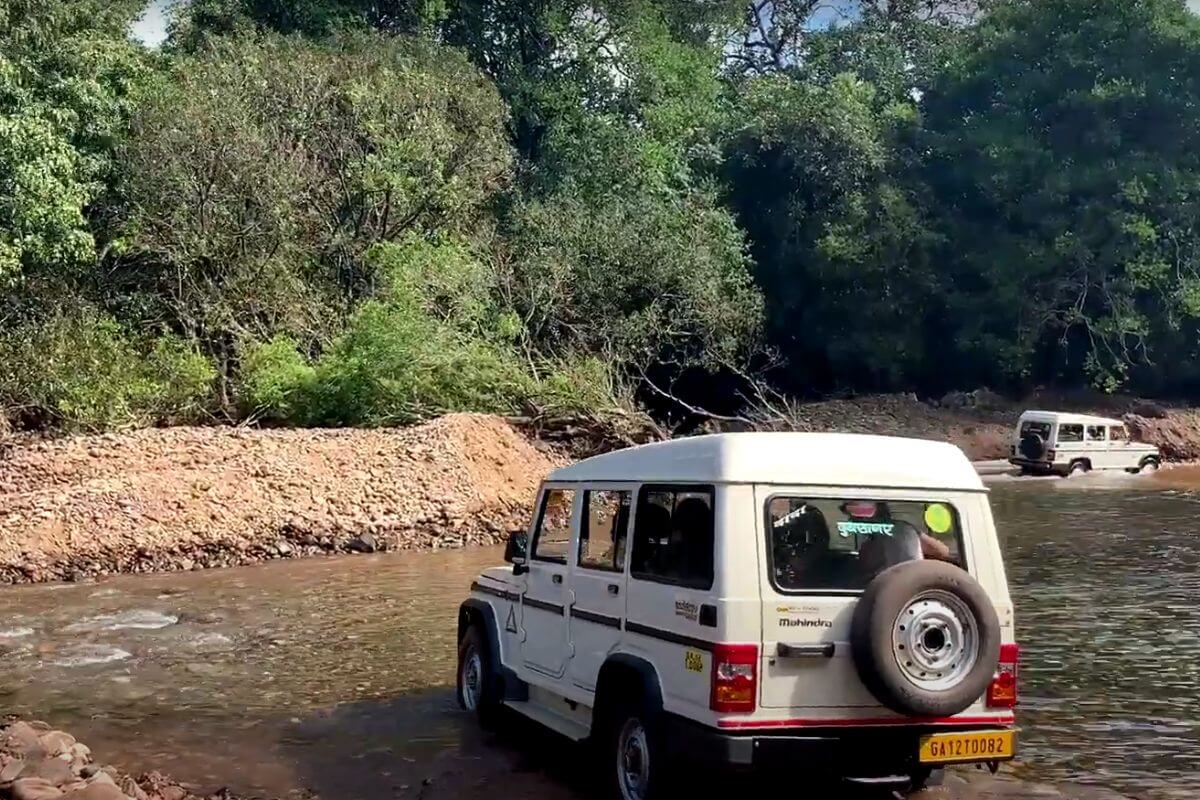 Dudhsagar Waterfall Dudhsagar waterfall