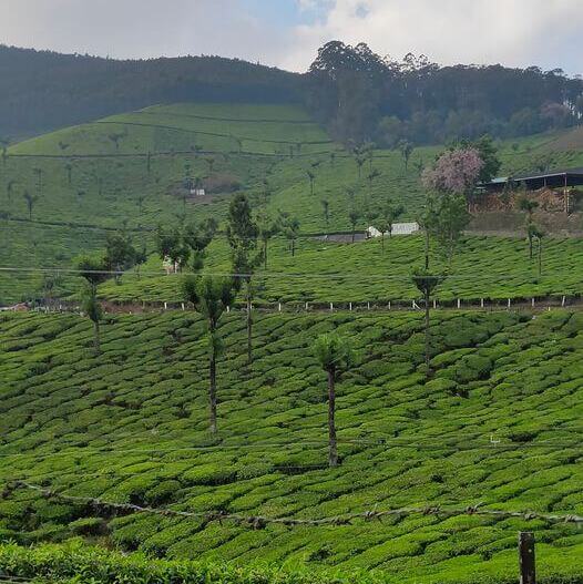 kerala