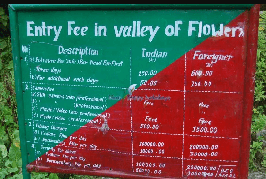 valley of flowers